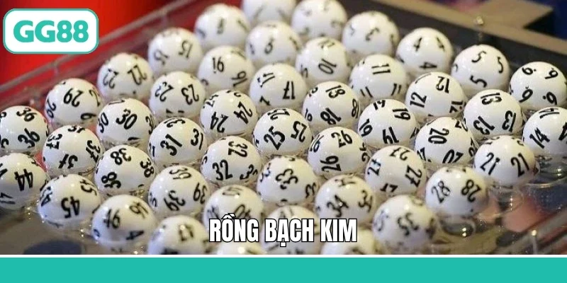 rồng bạch kim